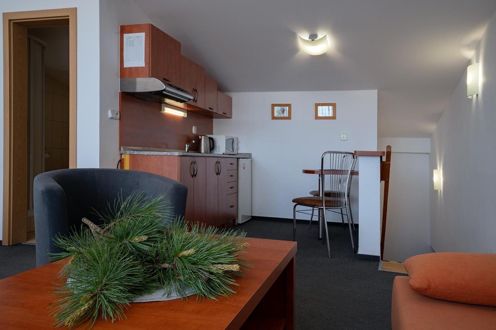 Appartement Studia Sprava Tanapu à Štrbské Pleso Extérieur photo