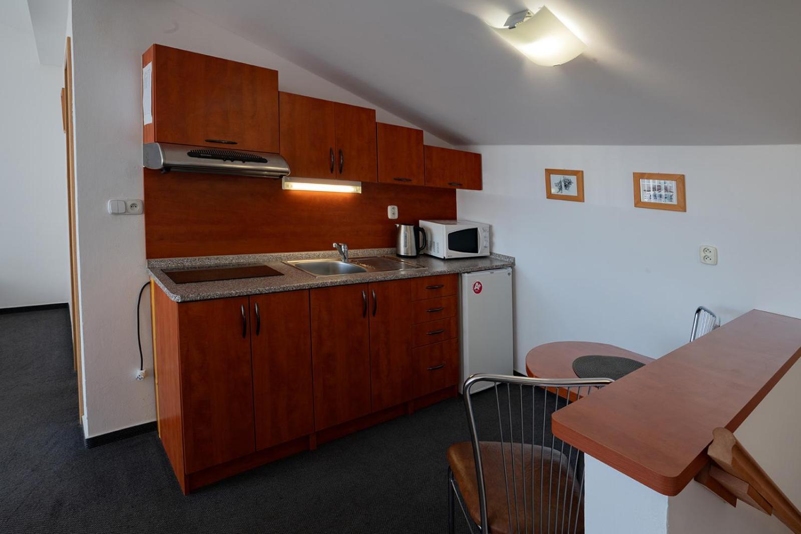 Appartement Studia Sprava Tanapu à Štrbské Pleso Extérieur photo