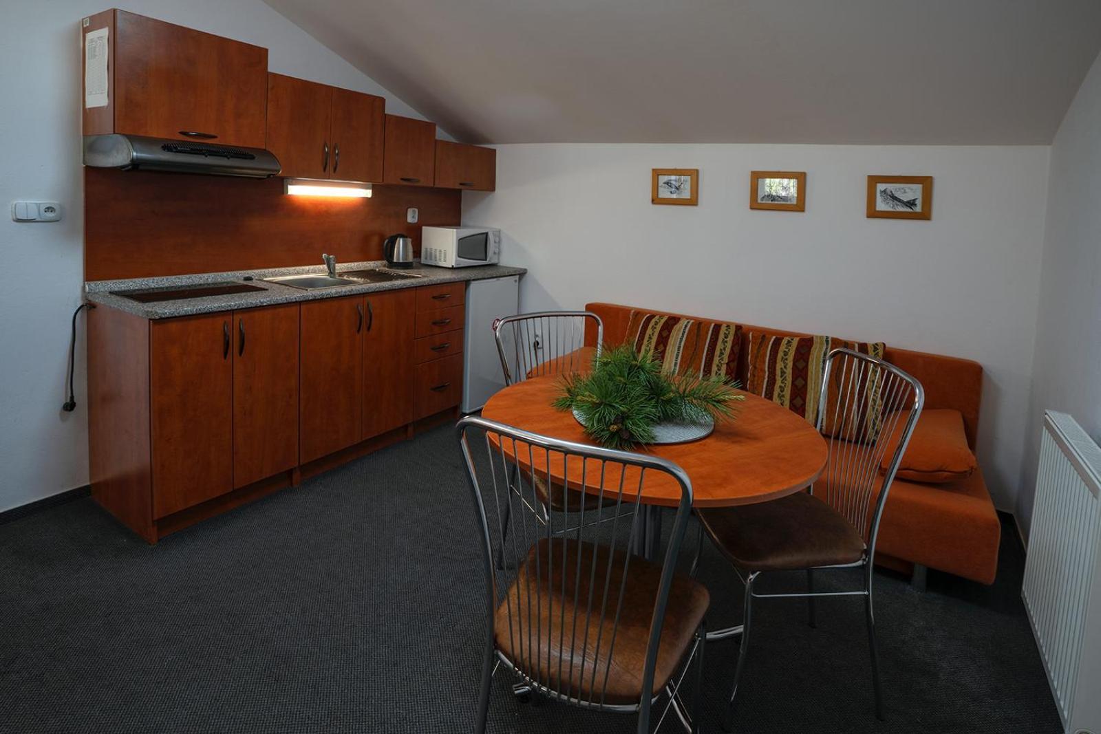 Appartement Studia Sprava Tanapu à Štrbské Pleso Extérieur photo